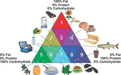 food_triangle_2017-06-08.jpg